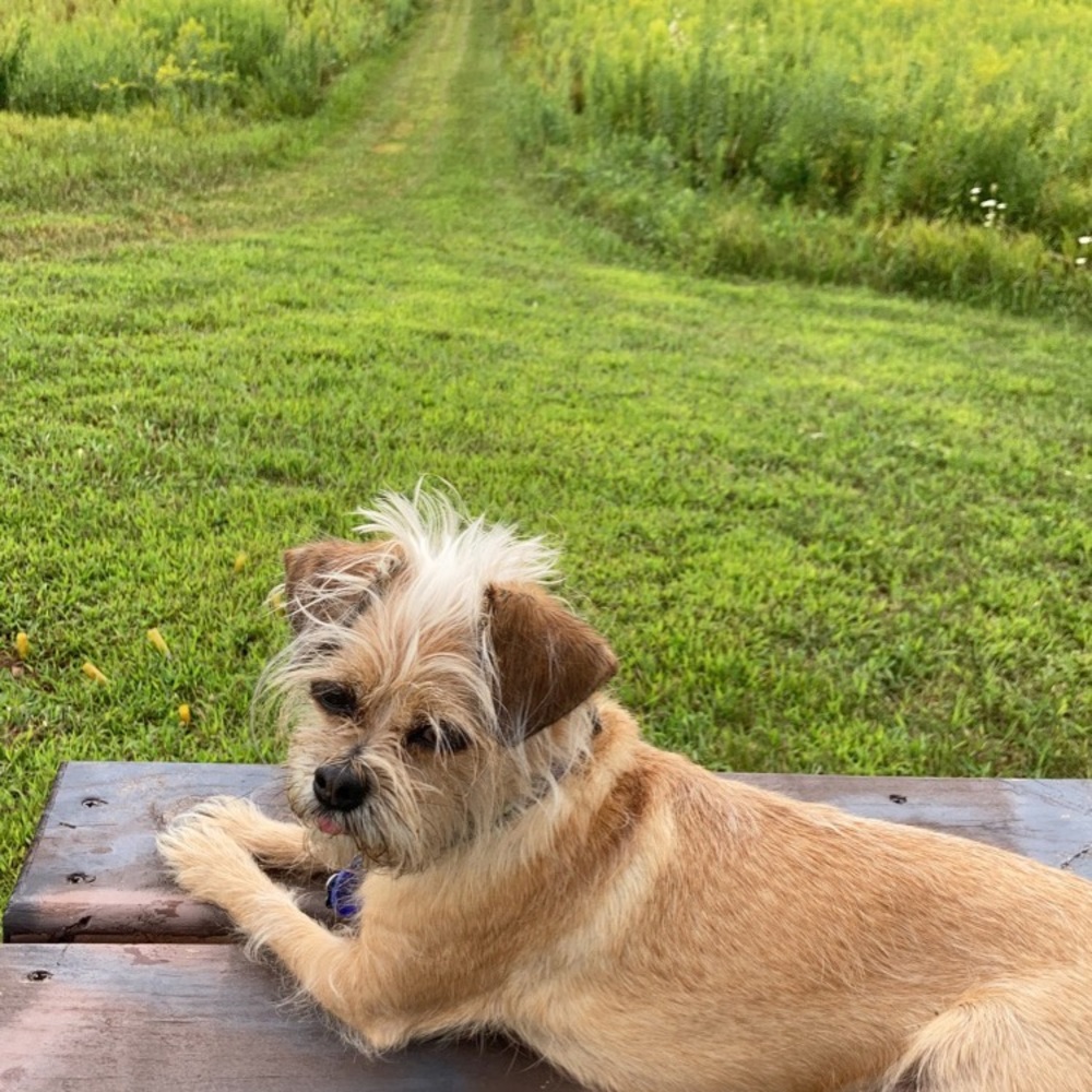 Meet your Posher, Mar